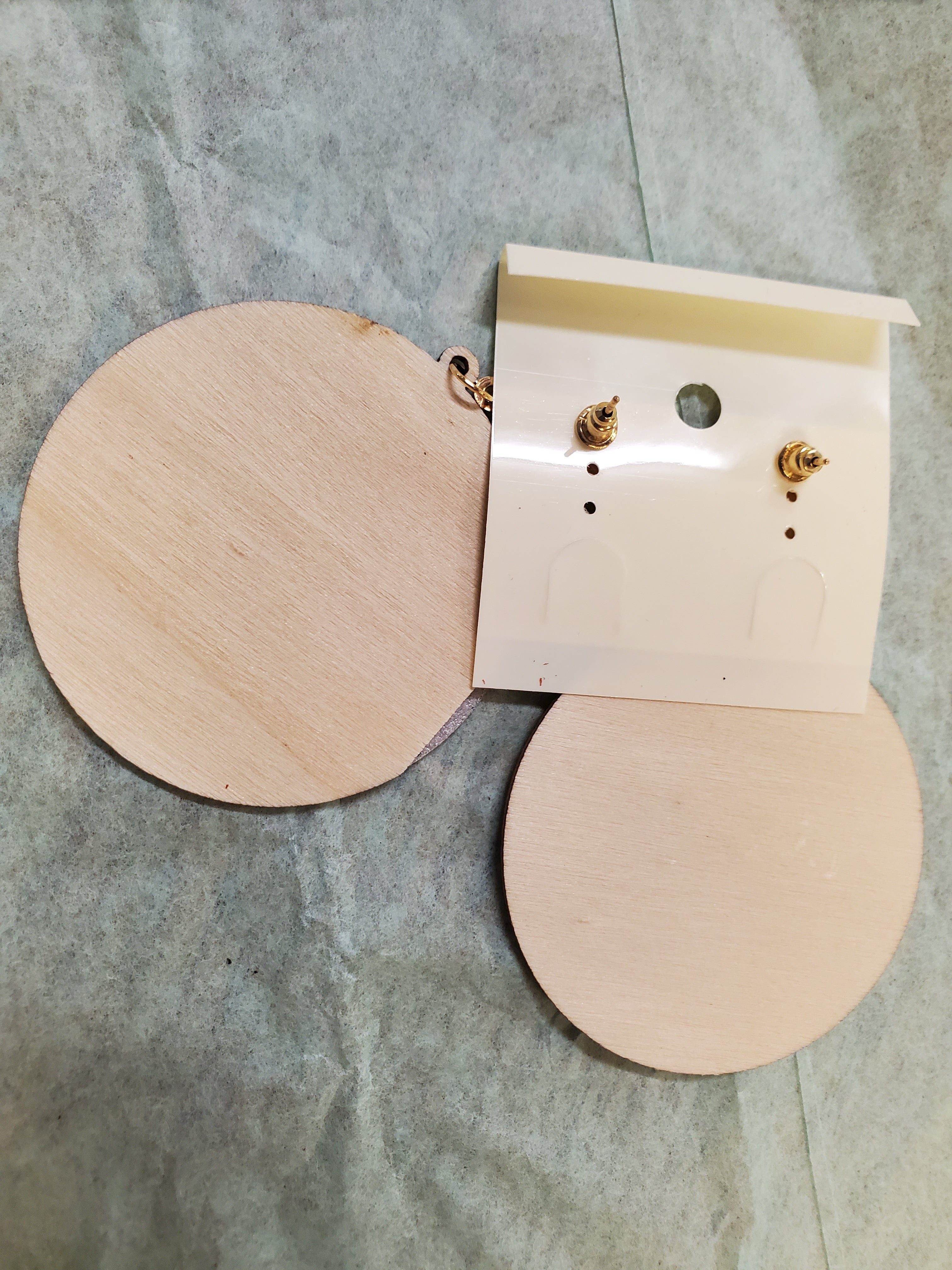 Color Plate Earrings