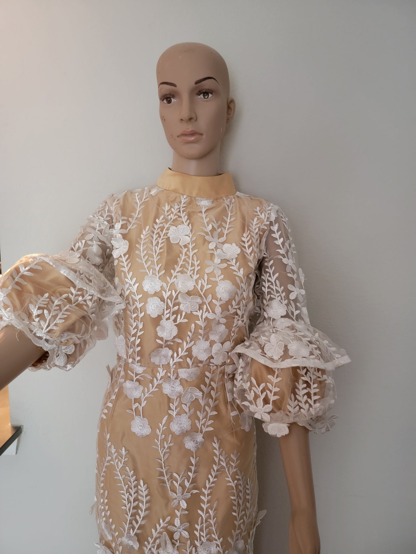 Lace Nude Dress